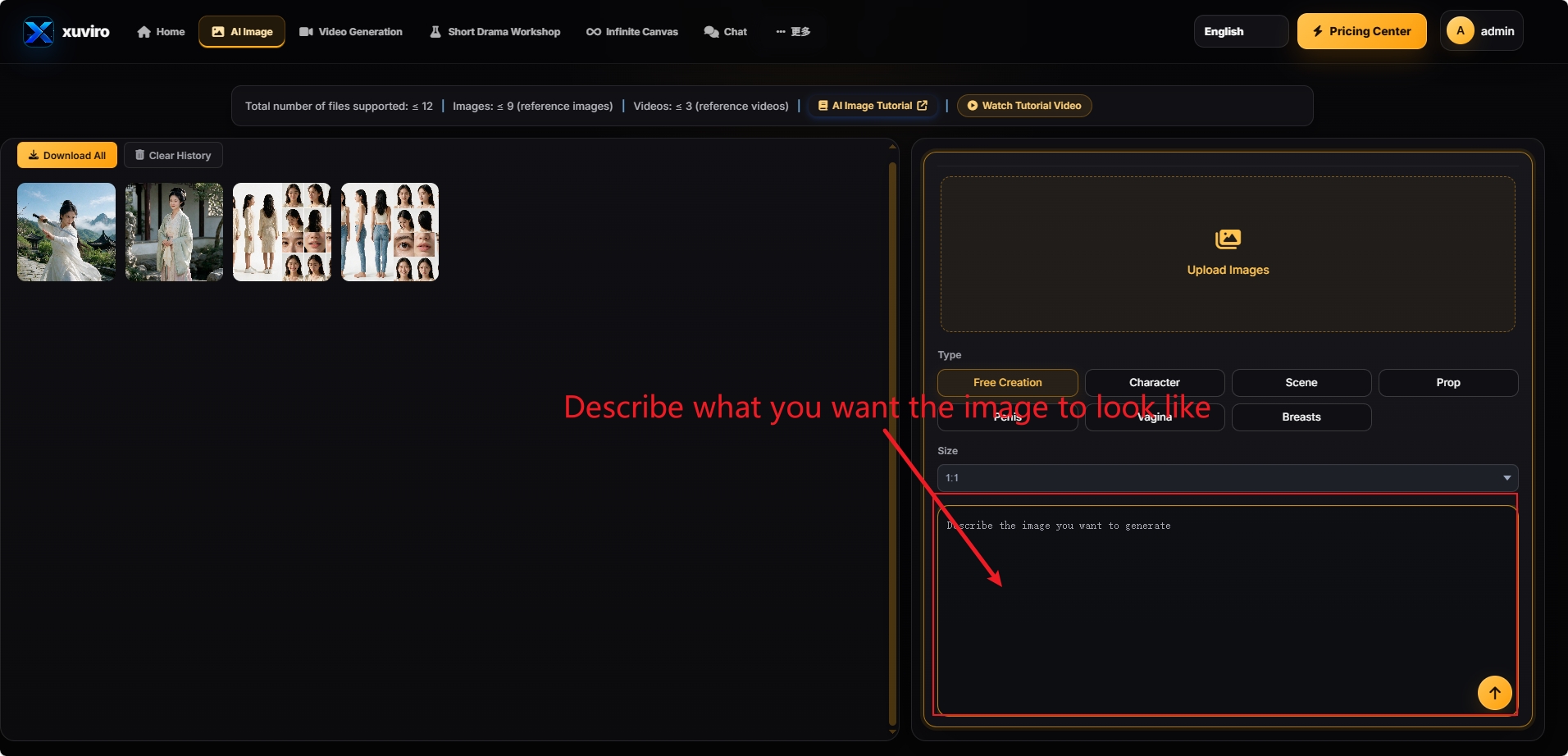 Image description input with generation prompt